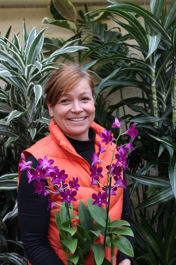 Gärtnerei Sirch - Anke Josten
