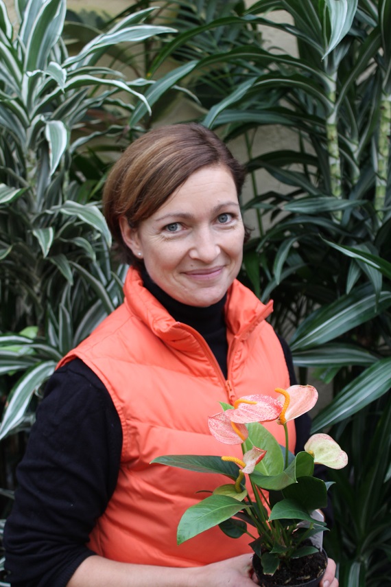 Gärtnerei Sirch - Anja Hillenbrand